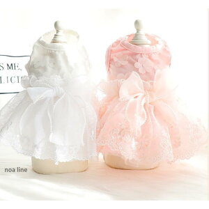   ̕ pi hbOEFA EFfBOhX s[X [X p[eB[hX  ybgEFA ybgObY { m Be