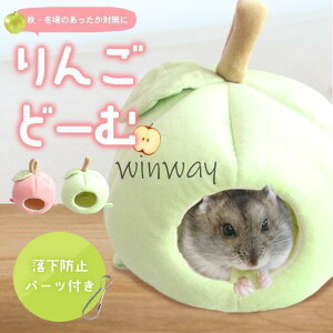 nX^[ nEX ~  yh~p[c~t S2Fz S^ h[ 킢 ۉ t[X  ybg tNK