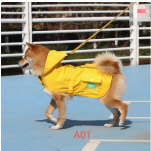 p CR[g ^ ^ J Jbp  h hbO ybg hbOEGA ybg|` ~J U o hJ ybgCObY