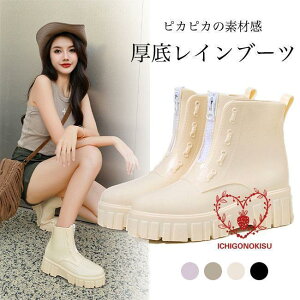 Cu[c fB[X CV[Y V[gu[c  r  JC C h u[c sJsJ V[Y  u[c J̓