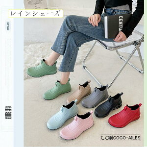 Cu[c fB[X JC Xj[J[ CV[Y V[g ~ ~J JWA AEghA ʋ ʊw Jp  Oo