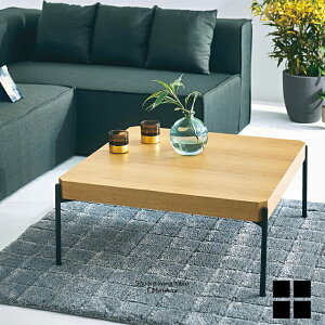 【送料無料】LT-49-N80 LT-49-W80 スクエア 四角形 正方形 リビングテーブル センターテーブル フロアーテーブル ローテーブル 木製 アイアン脚 ホワイトオーク ウォールナット ちゃぶ台 レクト