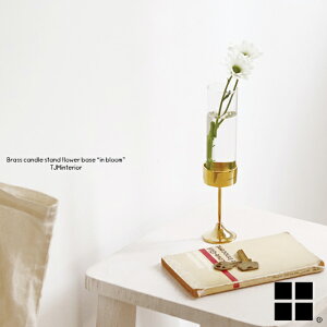Cu[ in bloom uXLhX^ht[x[X t[x[X ֑} Ԃт ԕr 9235-0007 STCY 9235-0008 LTCY ^J uX KX ~` nhCh AeB[N