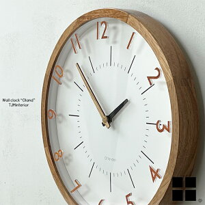 CL-3350 Oland Ig ؐ dgv v |v |v Ǌ|v Ǌ| Xebv[ug AiO ی^ ~` i` uE ؘg bj 30cm