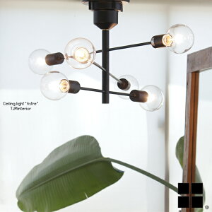 yzAXg Astre V[OCg Ɩ VƖ rOƖ [Cg LEDΉ X`[ ^J ] LT-2675 LT-2676 LT-2678 LT-2679 ubN Vv _ k 6