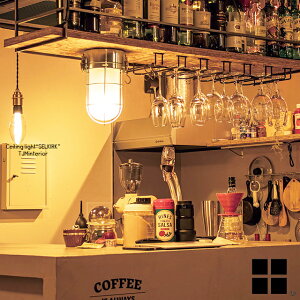 �Z���J�[�N �V�[�����O���C�g SELKIRK �Ɩ� �Ɩ���� �ԐڏƖ� ���[�����C�g LED�Ή� �V��Ɩ� LED LED���C�g �X�`�[�� �t���X�g�K���X �V���o�[ �}���������v �}�������C�g 1�� ������� �C���_