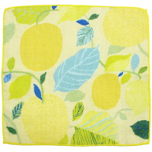 kfUC tBh Matti Pikkujamsa }beBEsbNT K[[nJ` ʕ ^I  k 킢  v[g