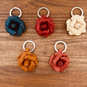 KN [Y L[z_[ L[O  NICGA La Cuoieria C^A o  obO`[ v v {v v[g a ̓