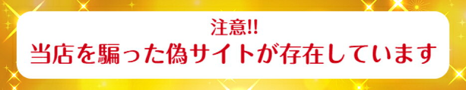 詐欺サイト注意
