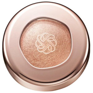 Ki COSME DECORTE RXfRe ACOEWF XLVhE / 06G warm umber@ϕi XLPA RX CN a LO ̓ v[g Mtg ޏ    lC 