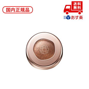Ki COSME DECORTE RXfRe ACOEWF XLVhE / 15 shiny terracotta / 6g ϕi XLPA RX CN a LO ̓ v[g Mtg ޏ    l
