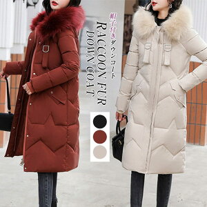 _ER[g R[g fB[X ~ LeBOR[g _EWPbg OR[g t@[t |Pbgt t@[ O\ AE^[ Wp[ OJ hXg  g 