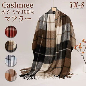 JV~100 }t[ JV~A 唻 fB[X `FbN [΍ JV~}t[ JV~A}t[ Xg[ Mtg  v[g a 蕨   H~ NX}X o