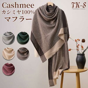 JV~100 }t[ JV~A 唻 fB[X JV~}t[ JV~A}t[ Xg[ Mtg  v[g a 蕨   H~ g NX}X o^Cf