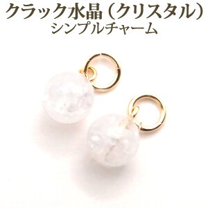  NbN NX^ 6mm Vv sAX `[ 1yA ANZT[ p[c p[Xg[ t[v sAX `[ lbNX y_g Xgbv ɂ y fB[X 