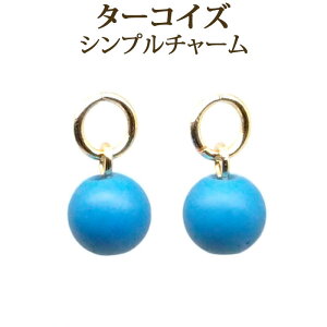 ^[RCY 6mm Vv sAX `[ 1yA gR ANZT[ u[ ^[RCYu[ t[v sAX   `[ lbNX y_g Xgbv p[c ɂ y IV