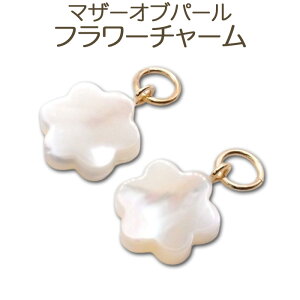 }U[Iup[ t[`[ 1yA 10mm zCg Vv `[ sAX t[  }U[ Iu p[ ANZT[ JWA t[v sAX   `[ Xgbv