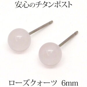 `^ [YNH[c sAX iۋ 6mmj AM[ S `^|Xg g Ԃ {[ ꗱ 1 sAX AM[t[ 10 a y l   V