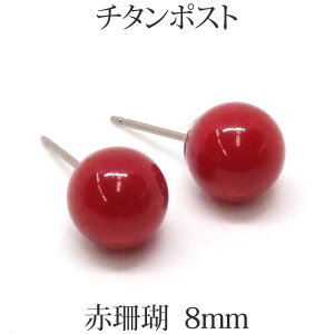 `^ ԎX sAX iۋ 8mmj AM[ S `^|Xg ԃTS 嗱 傫 Ԃ ꗱ 1  bh R[ TS 3 a {[ sAX y  l  