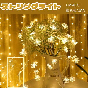 ^CZ[ yz XgOCg  䂫 dr USB 6M 40 dF EH[zCg dF C~l[VCg NX}X    X L  NX}Xc