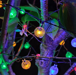 ^CZ[IIyz C~l[VCg \[[pl 5M 20 Jt h 2[h Ԏ_ {[Cg NX}X p[eB[d o^C A 