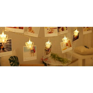 yz ʐ^Nbv XgOCg ʐ^ tHgNbv Cg 3M 20 dF Jt o^tC 2[h C~l[VCg NX}X Ӓ    