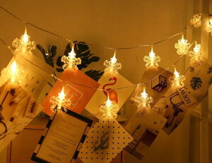 ^CZ[ yz ʐ^Nbv XgOCg  XgOCg 20 3M dr 2[h ʐ^GNbv C~l[VCg NX}X ~