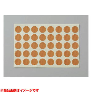 yEWT26CP2 #PFz sTKFt TOTO t⋭pV[ 40 y[uE փ0