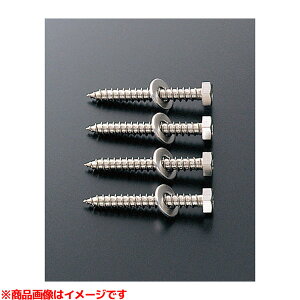 yT110D15z sTKFt TOTO 肷t փ0