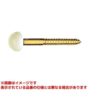 �yR43-6-6.2X63-PI�z �sTKF�t �O�h���� SANEI ��֊폰��t�r�X �փ�0