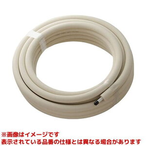 yT102-2Y-10AX25-20z sTKFt Oh SANEI ۉޕtA~ˋ|G` փ0