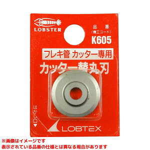 yK605 (192391)z sTKFt uebNX tLǃJb^[֐n(TCF20Ap) փ0