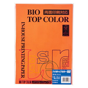 yBT433 IW s8895tz sTKFt ɓ oCIgbvJ[A4 (50) փ2