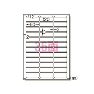 y66236 s8993tz sTKFt G[ LPxV[A4 36ʎlӗ]t փ2