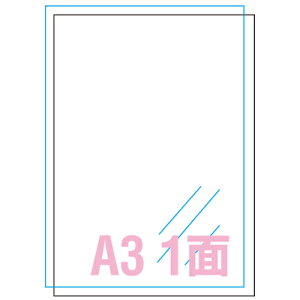 y31046 s12519tz sTKFt G[ OłgTCxV[UVی փ2