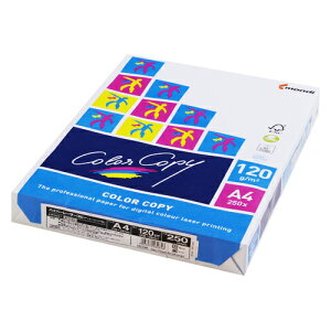 yHP5031 zCg s18336tz sTKFt ɓ nCp[ 120g A4(250) փ2