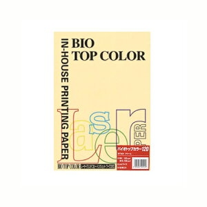 yBT301 N[ s32272tz sTKFt ɓ oCIgbvJ[A4 (50) փ2