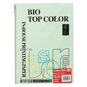 yBT306 ~fBAO[ s32278tz sTKFt ɓ oCIgbvJ[A4 (50) փ2