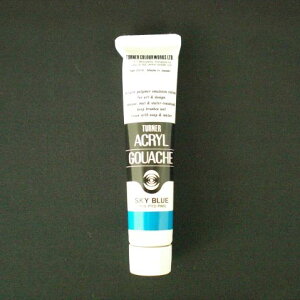 yAGA20 XJCu[ s39413tz sTKFt ^[i[ ANKbVAF 20ml #51 փ2