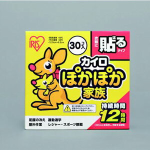 yPKN-30HR s54528tz sTKFt ACXI[} ۂۂƑ\郌M[(30) փ2