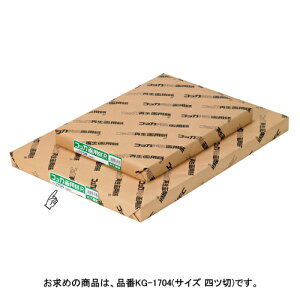 yKG-1704 s63006tz sTKFt ^ RbJpNO.1704 100 փ2