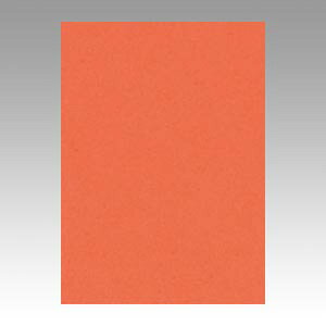 yGO4NCR-213 s71943tz sTKFt ebN j[J[4100  փ2