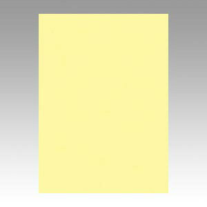 �yGO4NCR-134 �s71946�t�z �sTKF�t �����e�b�N �j���[�J���[4��100�� ���C�g�C�G���[ �փ�2