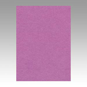 yGO4NCR-231 s71962tz sTKFt ebN j[J[4100 ނ炳 փ2