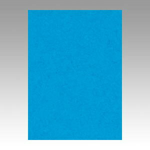 �yGO4NCR-216 �s71967�t�z �sTKF�t �����e�b�N �j���[�J���[4��100�� �������� �փ�2
