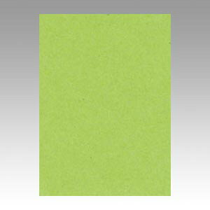 yGO4NCR-212 s71973tz sTKFt ebN j[J[4100 ݂ǂ փ2