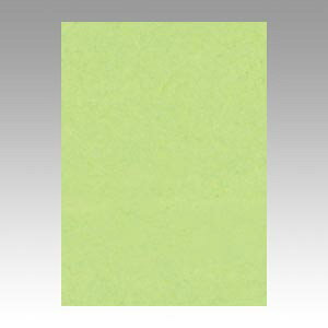 yGO4NCR-243 s71974tz sTKFt ebN j[J[4100 킩 փ2