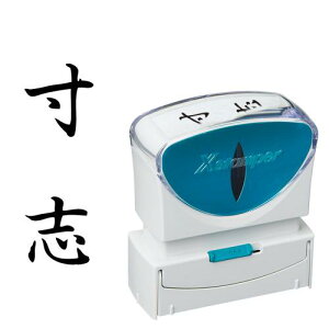 �yX2-B-211V4 �s42550�t�z �sTKF�t �V���`�n�^ X2�r�W�l�X�L���b�v���XB�^�����u�^�e �փ�0