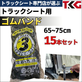 8/10-13 P11倍 トラックシート用 ゴムバンド 幅22mm×折径650mm～750mm×15本入り 1t 1.5t 2t 3t トラックサイズ　いすゞ いすず エルフ 三菱ふそう キャンター 日野自動車 デュトロ UDトラック 65cm-75cm