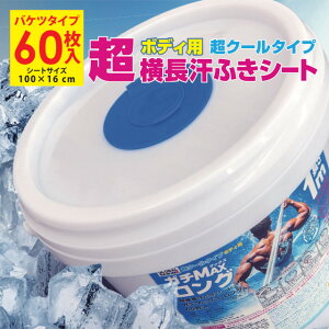 |C5{16܂ŁyzgL GT-1016 ^ӂV[g60 100cm×16cm K`MAXO oPc^Cv {fBp N[^Cv  {fBV[g e 唻 1m 